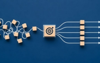 understanding litigation and dispute resolution