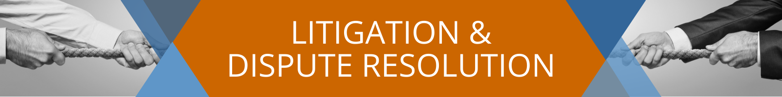 Litigation & Dispute Resolution