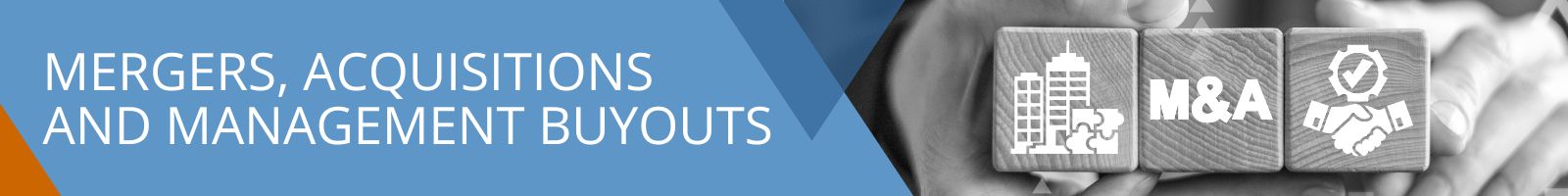 Mergers, Acquisitions and Management Buyouts