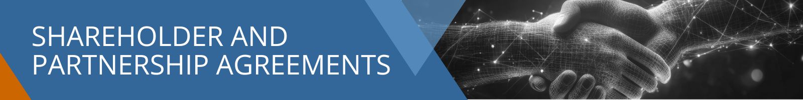 Shareholder and Partnership Agreements Shareholder and Partnership Agreements